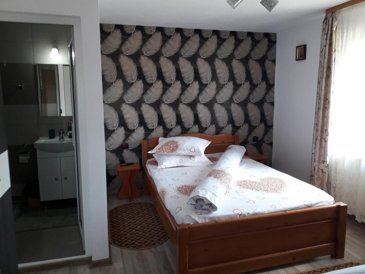 Pensiunea Ileana Novaci-Străini Buitenkant foto