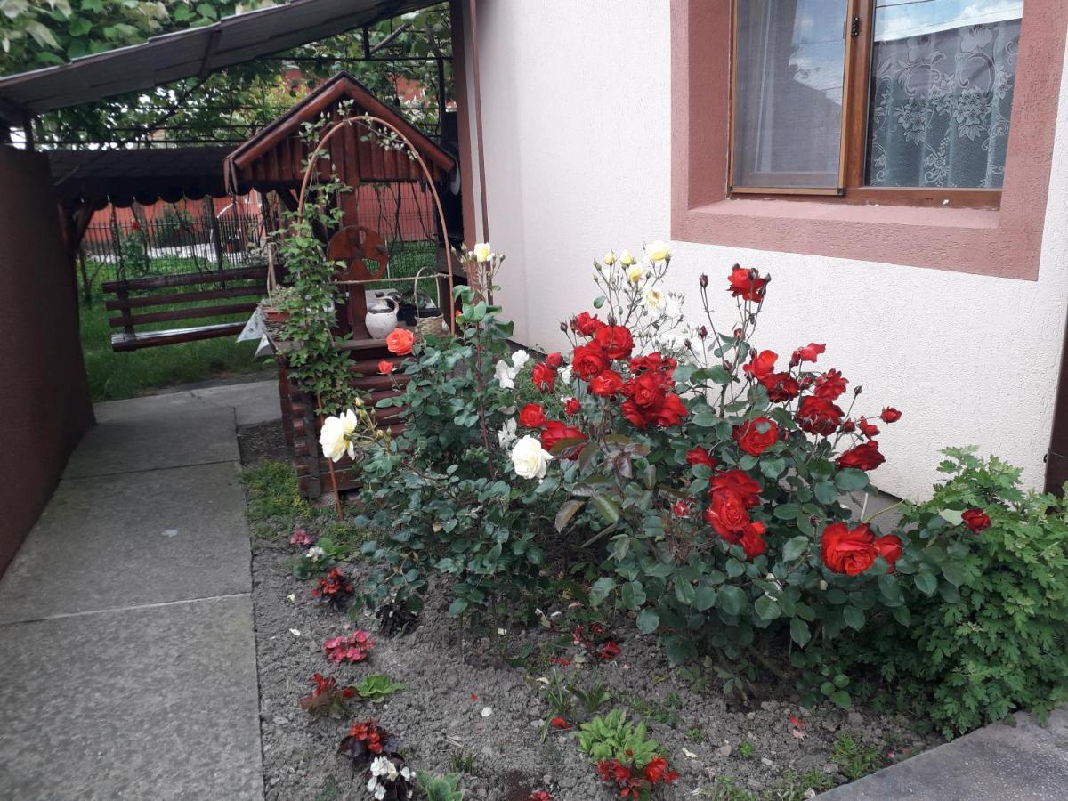 Pensiunea Ileana Novaci-Străini Buitenkant foto