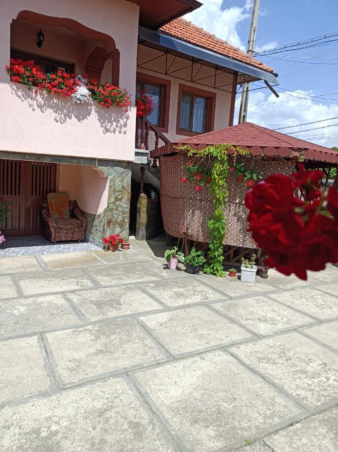 Pensiunea Ileana Novaci-Străini Buitenkant foto