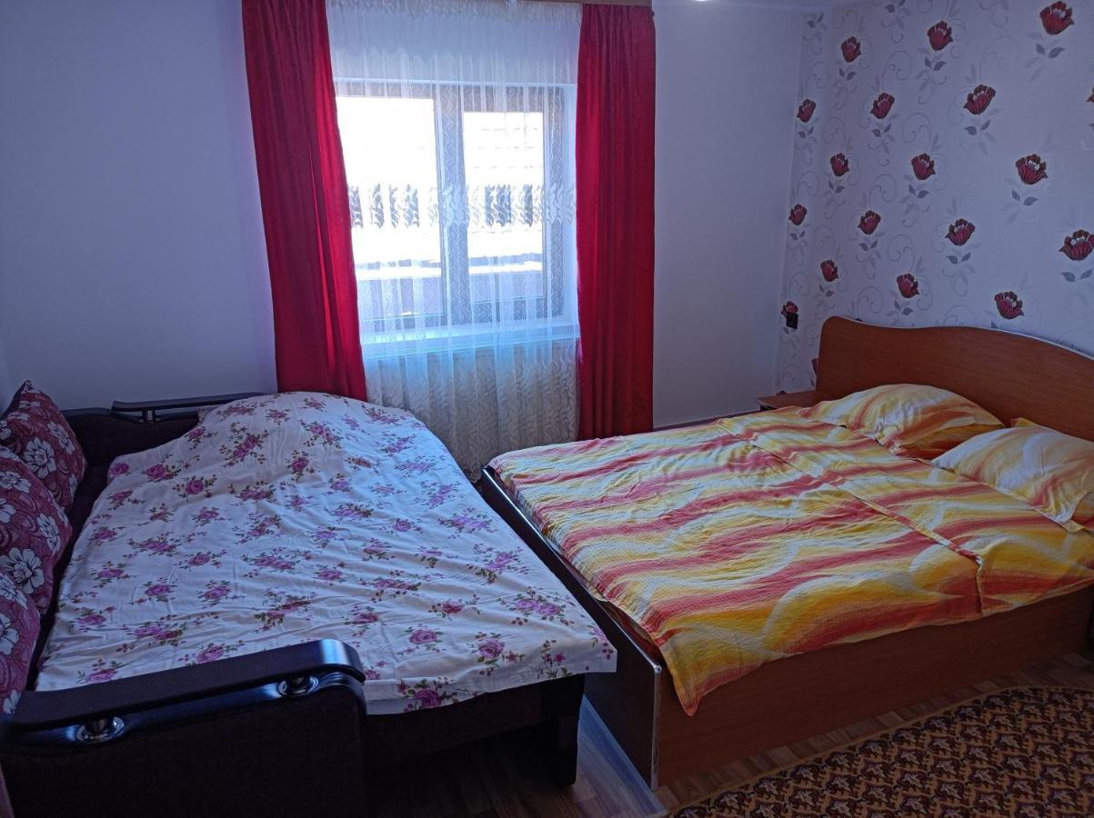 Pensiunea Ileana Novaci-Străini Buitenkant foto