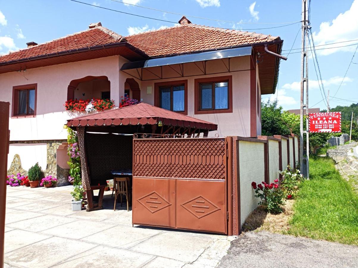 Pensiunea Ileana Novaci-Străini Buitenkant foto