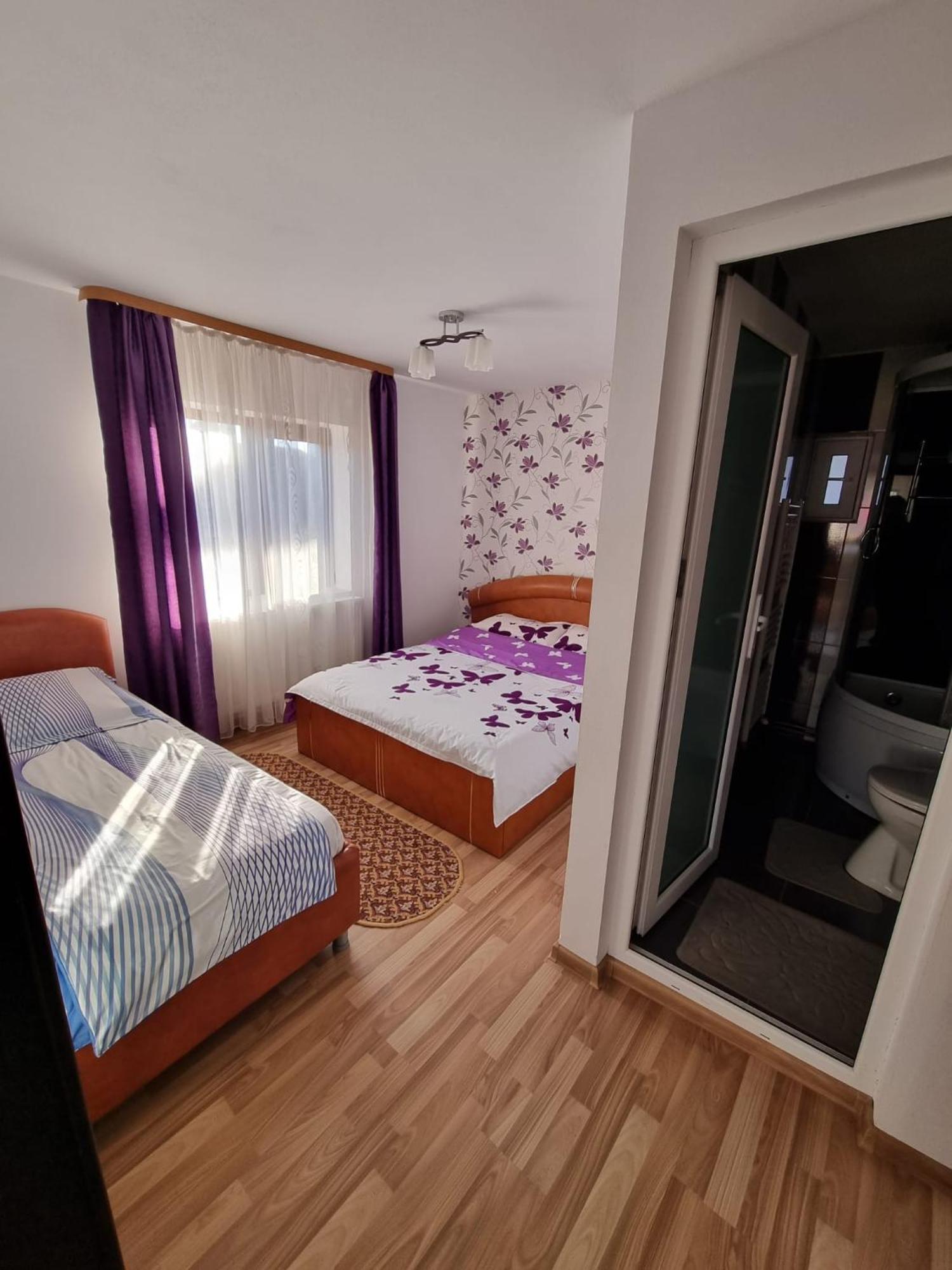 Pensiunea Ileana Novaci-Străini Buitenkant foto