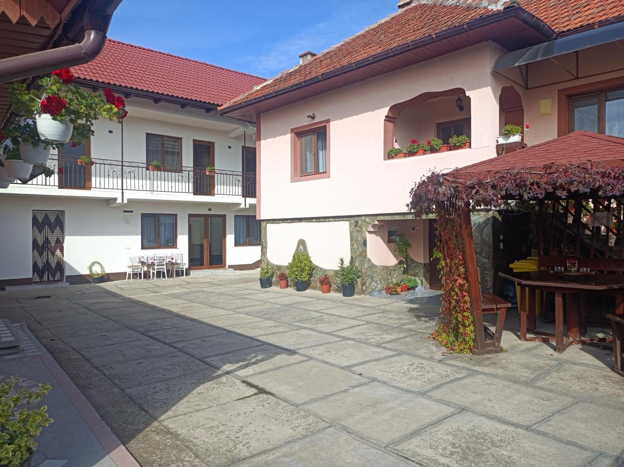 Pensiunea Ileana Novaci-Străini Buitenkant foto