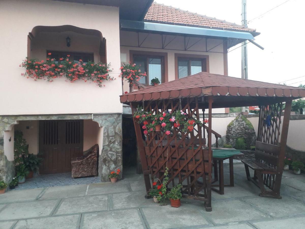 Pensiunea Ileana Novaci-Străini Buitenkant foto