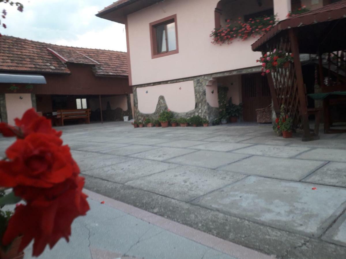 Pensiunea Ileana Novaci-Străini Buitenkant foto