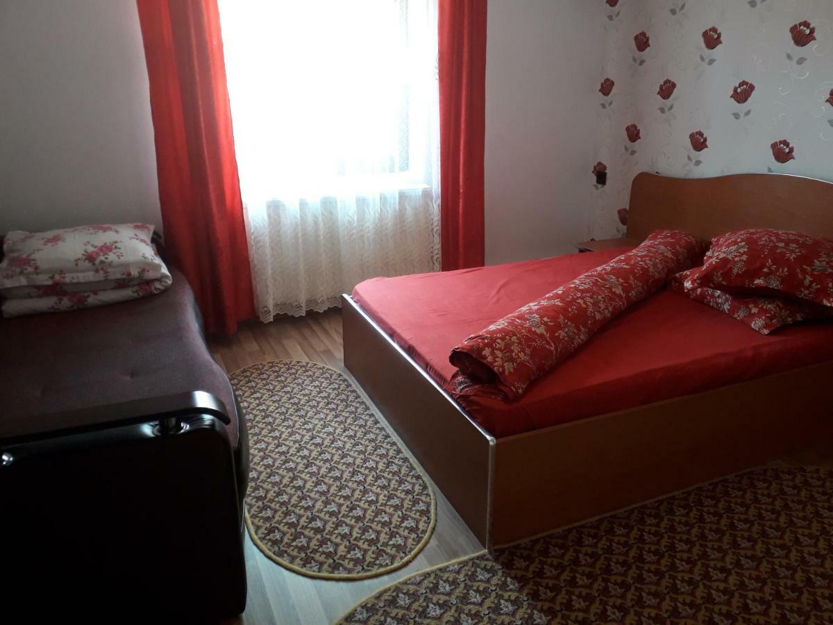 Pensiunea Ileana Novaci-Străini Buitenkant foto