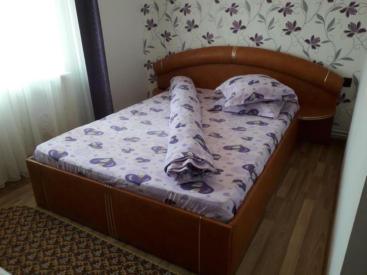 Pensiunea Ileana Novaci-Străini Buitenkant foto